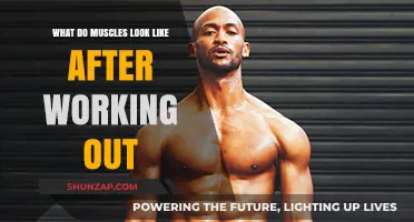 Post-Workout Muscle Transformation: What Your Muscles Look Like After Exercise