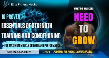 Fuel, Rest, and Stress: The Muscle Growth Essentials Explained
