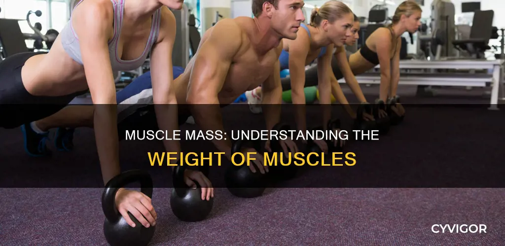 what do muscles weigh
