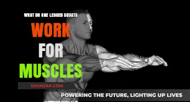 One-Legged Squats: Target Muscles and Benefits Explained