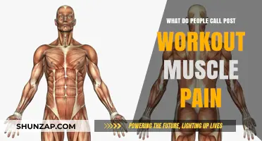 Understanding Delayed Onset Muscle Soreness: What's Behind Post-Workout Pain?