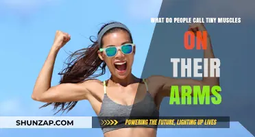 Understanding Arm Anatomy: What Are Those Tiny Arm Muscles Called?