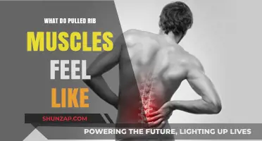 Pulled Rib Muscle Symptoms: Pain, Tenderness, and Breathing Discomfort Explained