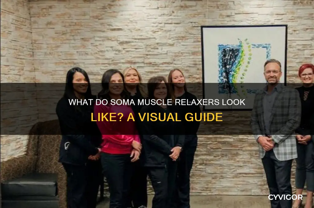 what do soma muscle relaxers look like