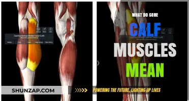 Understanding Sore Calf Muscles: Causes, Prevention, and Effective Relief Tips