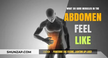 Understanding Abdominal Muscle Soreness: Symptoms, Causes, and Relief Tips