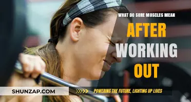 Understanding Sore Muscles: What Post-Workout Pain Really Means