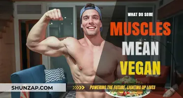 Understanding Sore Muscles on a Vegan Diet: Causes and Remedies