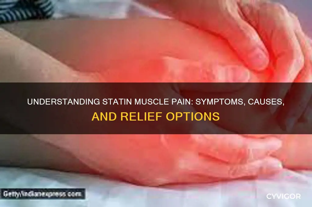 what do statin muscle pains feel like