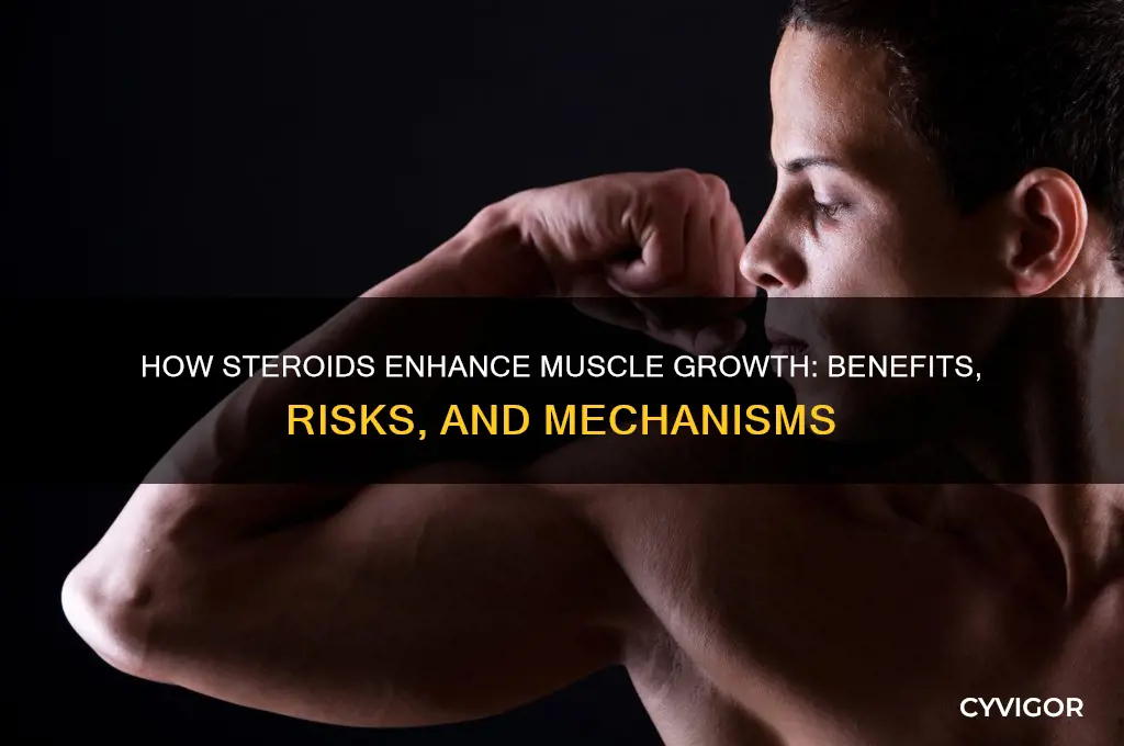 what do steroids do for muscle gain