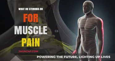 Steroids for Muscle Pain: Benefits, Risks, and Effective Relief Explained