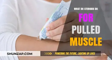 Steroids and Pulled Muscles: Benefits, Risks, and Recovery Insights