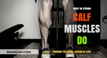 Unleashing the Power of Strong Calf Muscles: Benefits and Exercises