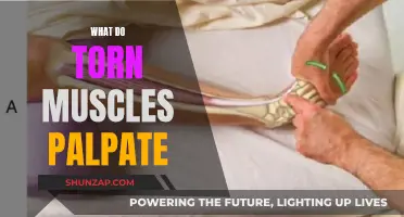 Torn Muscles: Palpitation Diagnosis