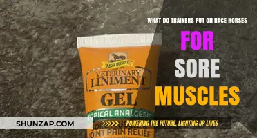 Effective Muscle Relief: What Trainers Apply to Race Horses for Sore Muscles
