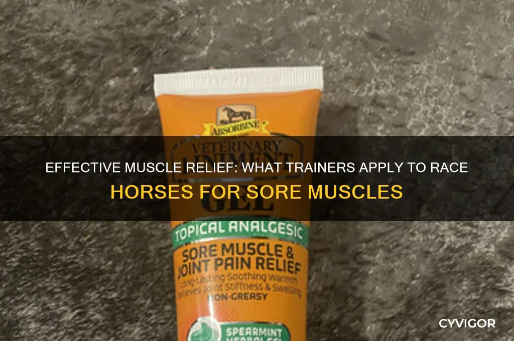 what do trainers put on race horses for sore muscles