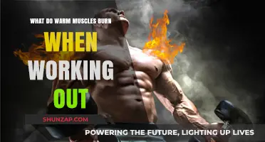 Warm Muscles Burn Calories Efficiently: Unlocking Workout Potential