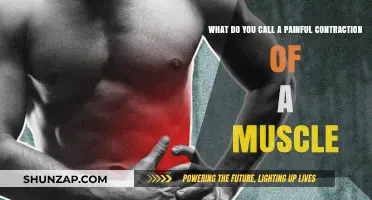 Understanding Muscle Cramps: What Causes Painful Contractions in Your Muscles?