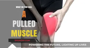 Understanding Pulled Muscles: Causes, Symptoms, and Proper Terminology Explained