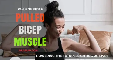Pulled Bicep Muscle: Effective Recovery Tips and Treatment Strategies