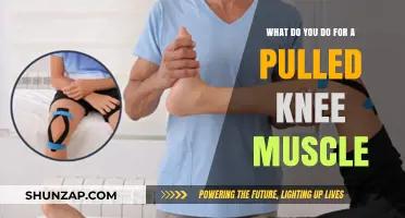 Pulled Knee Muscle: Effective Recovery Tips and Treatment Strategies