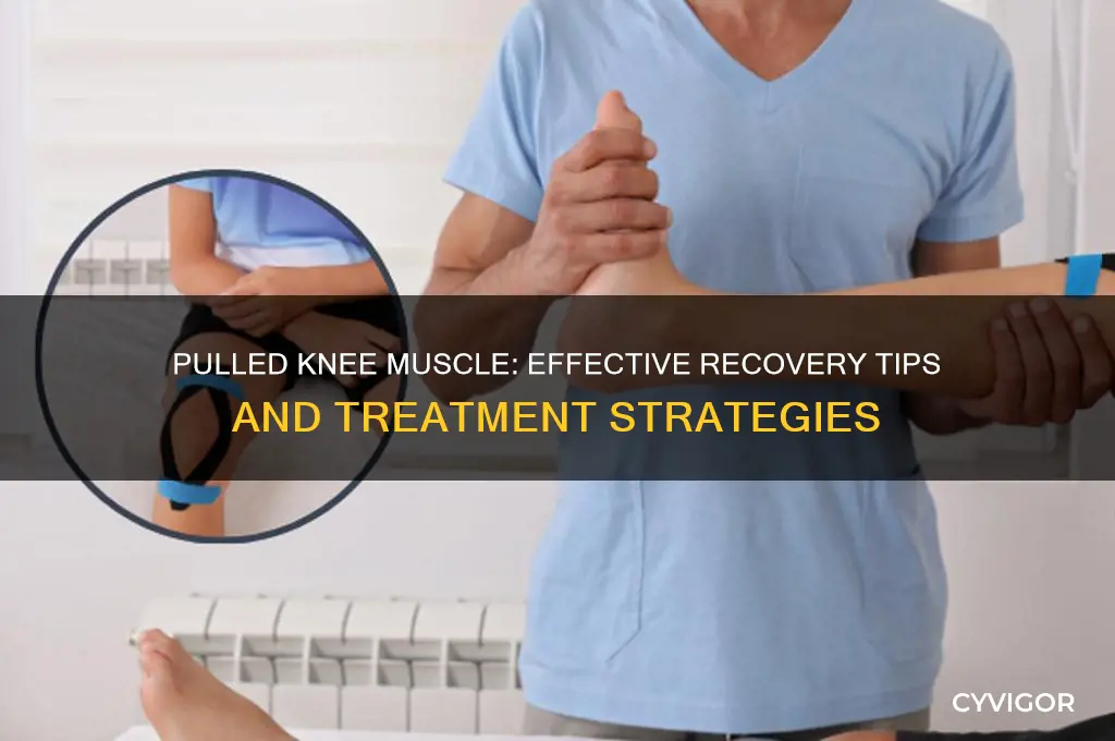 what do you do for a pulled knee muscle