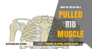 Pulled Rib Muscle Relief: Effective Treatments and Recovery Tips