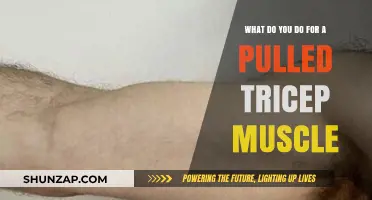 Pulled Tricep Muscle: Effective Recovery Tips and Treatment Strategies