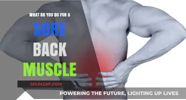 Effective Remedies for Relieving Sore Back Muscles: Tips and Techniques