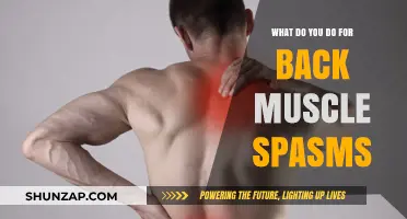 Effective Remedies for Back Muscle Spasms: A Comprehensive Guide