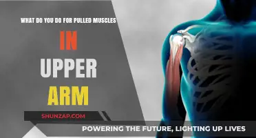 Effective Remedies for Pulled Upper Arm Muscles: Relief and Recovery Tips