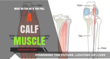 Pulled Calf Muscle? Effective Recovery Tips and Treatment Strategies