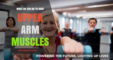 Sculpt Strong Upper Arms: Effective Exercises for Toned Muscles