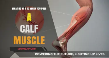 Pulled Calf Muscle? Effective Recovery Tips and Remedies to Heal Fast