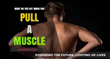 Pulled Muscle Pain: Symptoms, Causes, and Recovery Tips Explained