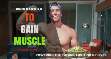 Fuel Your Muscle Growth: Essential Foods for Strength and Size