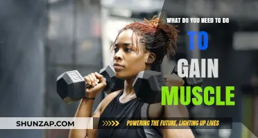 Effective Strategies for Building Muscle: Nutrition, Training, and Recovery Tips