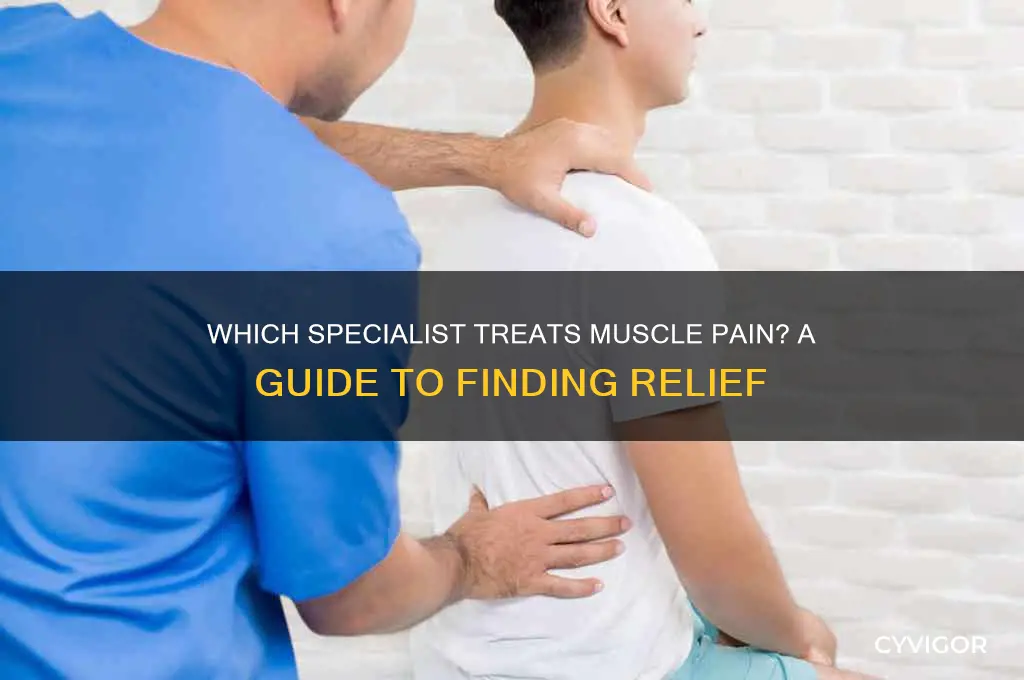 what doctor checks muscle pain