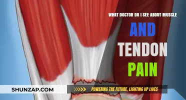Muscle and Tendon Pain: Which Specialist Should You Consult?