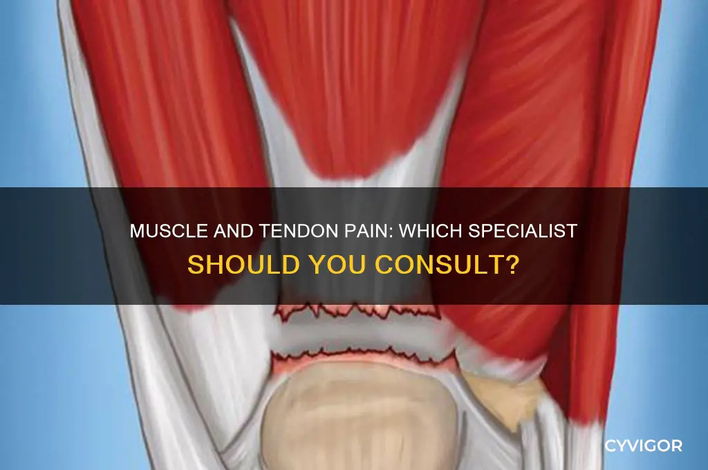 what doctor do i see about muscle and tendon pain