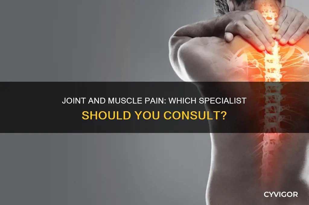 what doctor do i see for joint and muscle pain