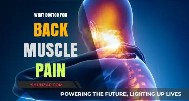 Finding Relief: Which Doctor Treats Back Muscle Pain Effectively?