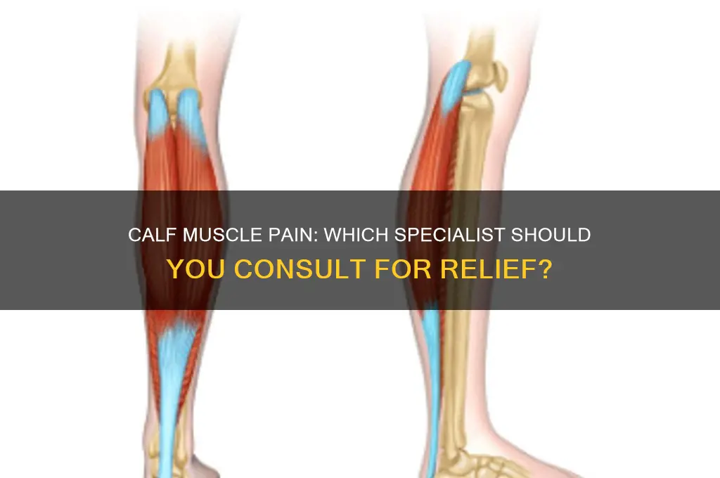 what doctor to see for calf muscle pain