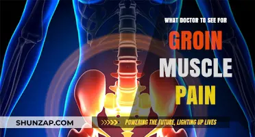 Groin Muscle Pain: Which Specialist Should You Consult for Relief?