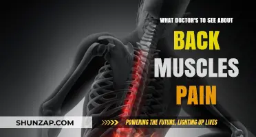 Back Muscle Pain Relief: Which Specialists Can Help You Heal?