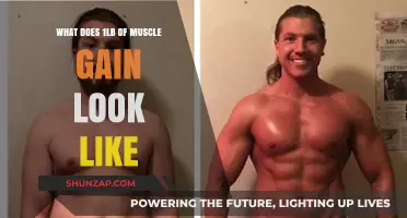 Visualizing Muscle Growth: What 1 Pound of Muscle Looks Like
