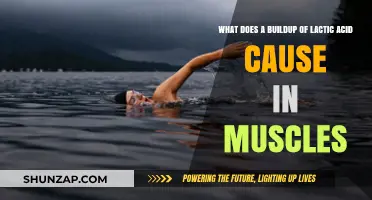 Lactic Acid Buildup: Causes, Symptoms, and Muscle Recovery Explained
