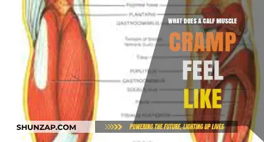Understanding the Agonizing Sensation of Calf Muscle Cramps