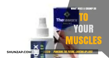 Understanding Muscle Cramps: Causes, Effects, and Relief Strategies