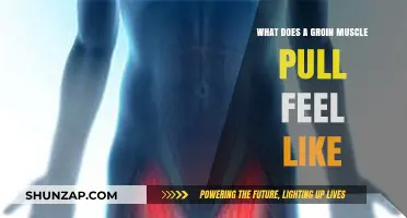 Groin Muscle Pull: Symptoms, Pain, and Recovery Explained